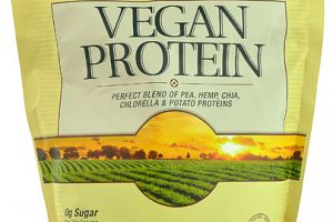 Vegan Protein Chocolate Dr. Mercola