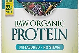 RAW Protein Organic Powder Vanilla Garden of Life