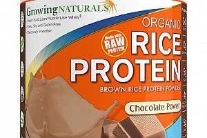 Organic Rice Protein Chocolate Powder Growing Naturals