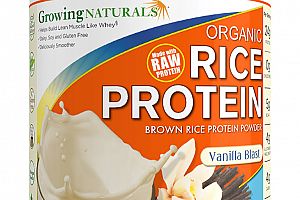 Organic Rice Protein Vanilla Blast Growing Naturals