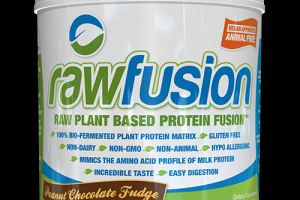 Raw Plant Based Protein Fusion Peanut Chocolate Fudge rawfusion