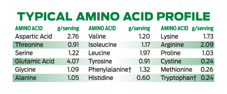 B100VPPChocolate Amino acid profile
