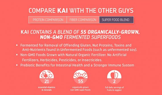 Silver Fern Brand Kai Meal Shake Plant-Based Protein Formula Mint Rich Chocolate photo 4