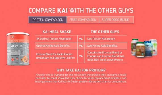 Silver Fern Brand Kai Meal Shake Plant-Based Protein Formula Rich Chocolate photo 3